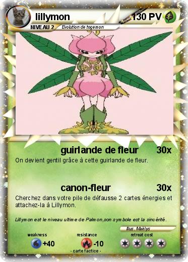 Pokemon lillymon