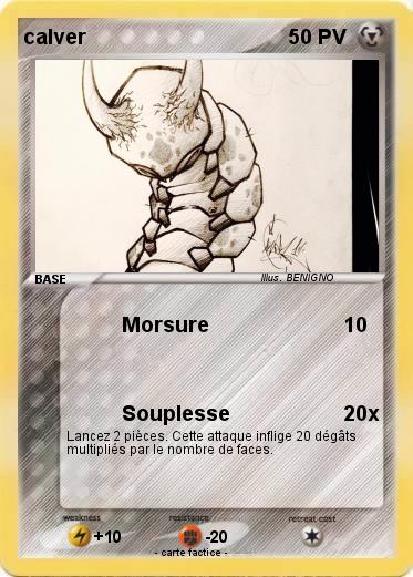 Pokemon calver