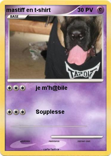 Pokemon mastiff en t-shirt
