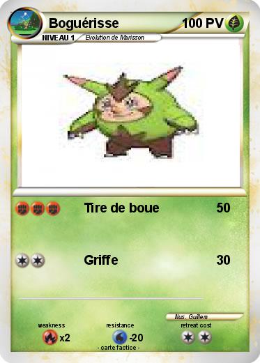 Pokemon Boguérisse