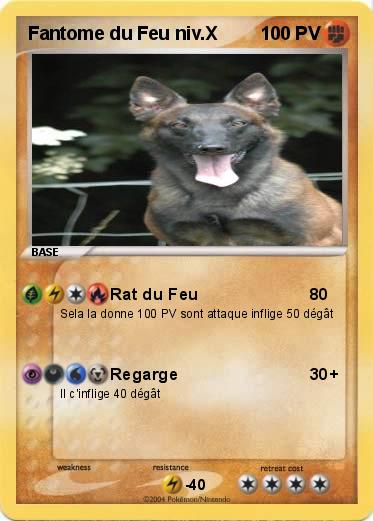 Pokemon Fantome du Feu niv.X