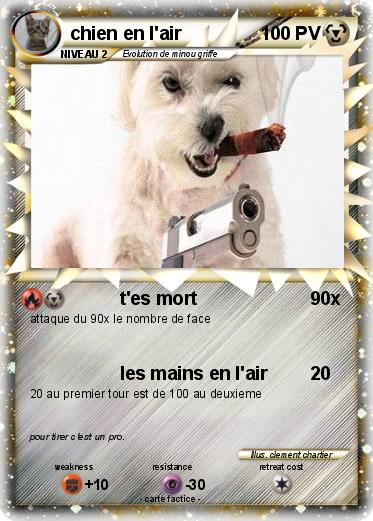 Pokemon chien en l'air