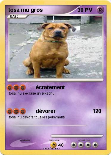 Pokemon tosa inu gros
