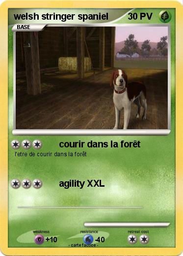 Pokemon welsh stringer spaniel