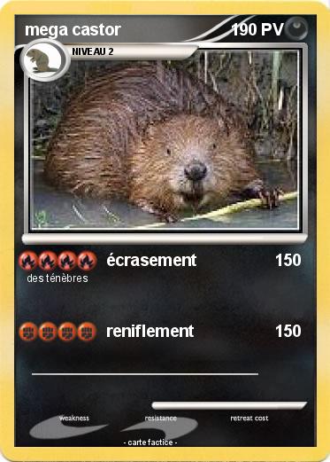 Pokemon mega castor