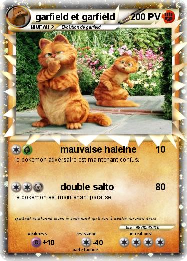Pokemon garfield et garfield