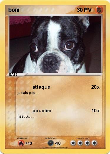 Pokemon boni              