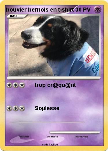 Pokemon bouvier bernois en t-shirt