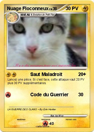 Pokemon Nuage Floconneux
