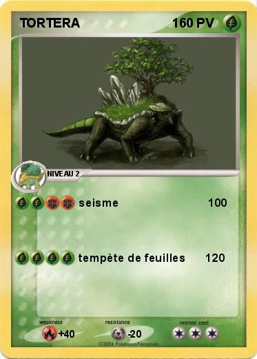 Pokemon TORTERA                          1                                