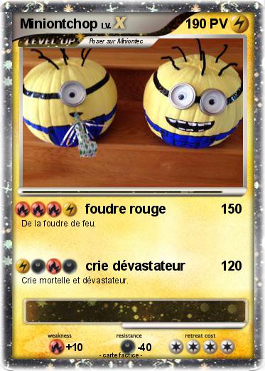 Pokemon Miniontchop