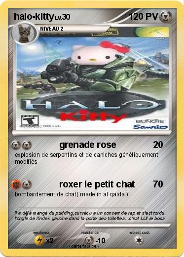 Pokemon halo-kitty