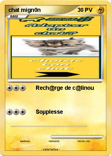 Pokemon chat mign0n