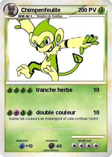 Pokemon Chimpenfeuille