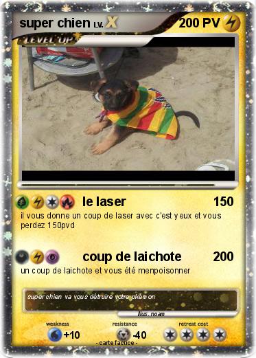 Pokemon super chien