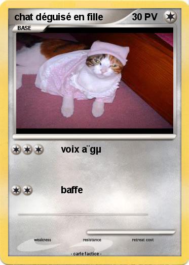 Pokemon chat déguisé en fille