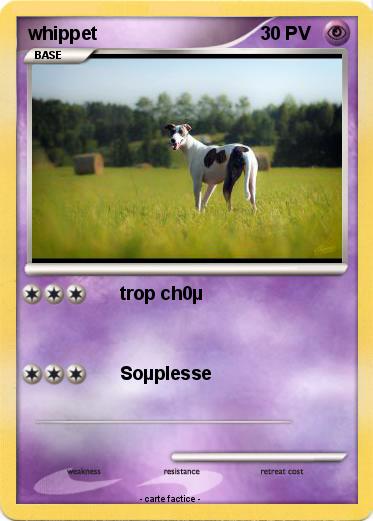 Pokemon whippet