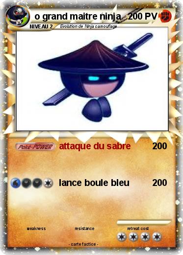 Pokemon o grand maitre ninja