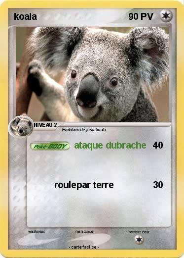 Pokemon koala