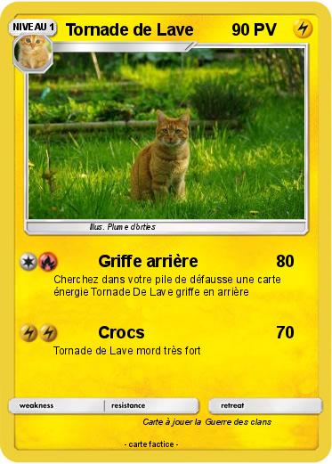 Pokemon Tornade de Lave