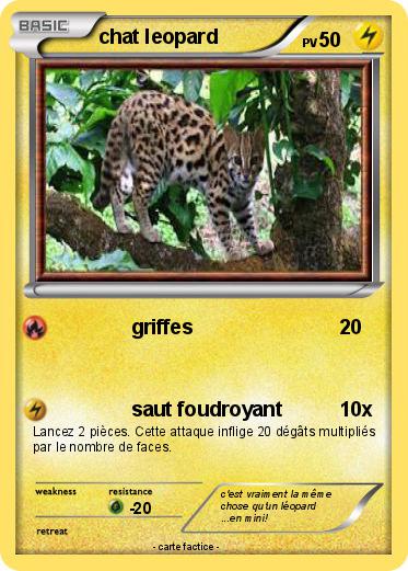 Pokemon chat leopard