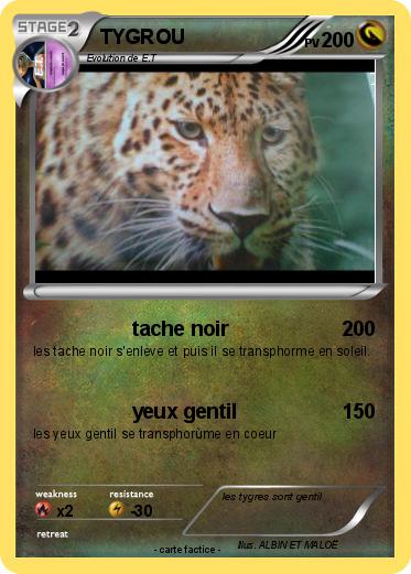 Pokemon TYGROU