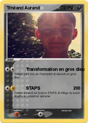 Pokemon Tristand Aurand