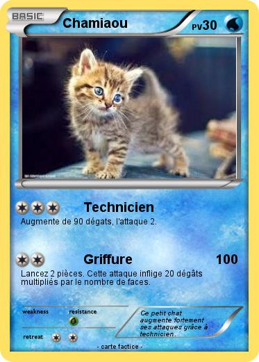Pokemon Chamiaou