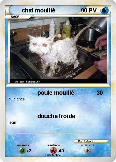 Pokemon chat mouillé
