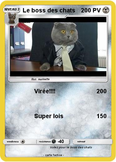 Pokemon Le boss des chats