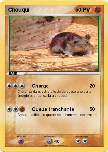Pokemon Chouqui