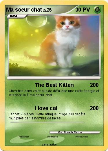 Pokemon Ma soeur chat