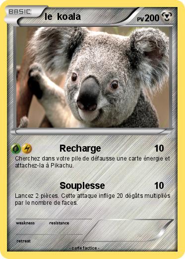 Pokemon le  koala