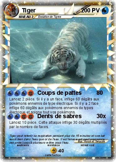 Pokemon Tiger