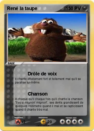 Pokemon René la taupe