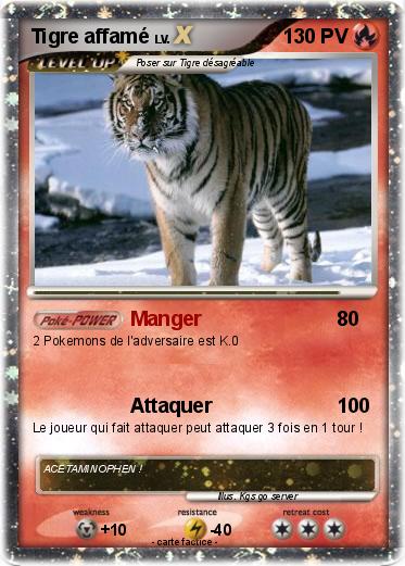 Pokemon Tigre affamé