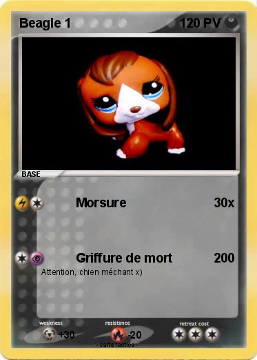 Pokemon Beagle 1