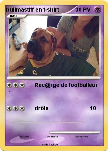 Pokemon bullmastiff en t-shirt