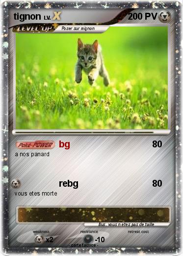 Pokemon tignon