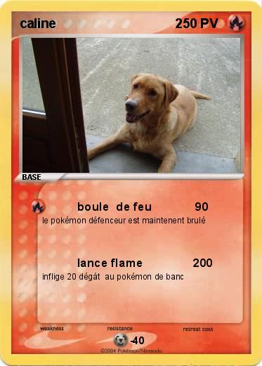 Pokemon caline                                 2     