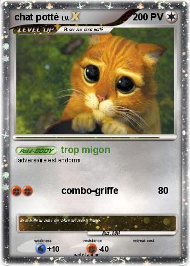 Pokemon chat potté