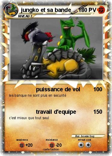 Pokemon jungko et sa bande