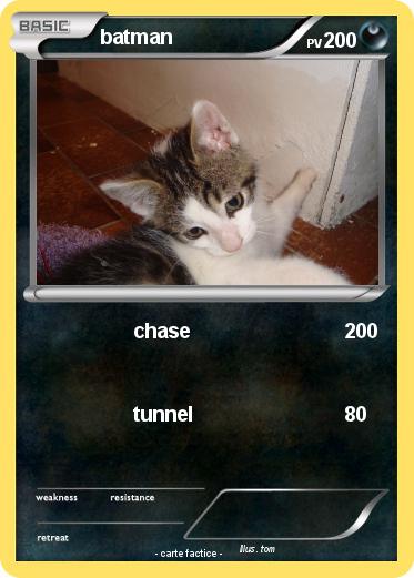 Pokemon batman