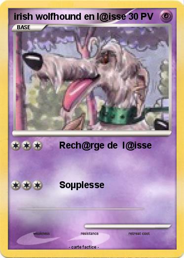 Pokemon irish wolfhound en l@isse