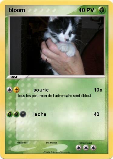 Pokemon bloom