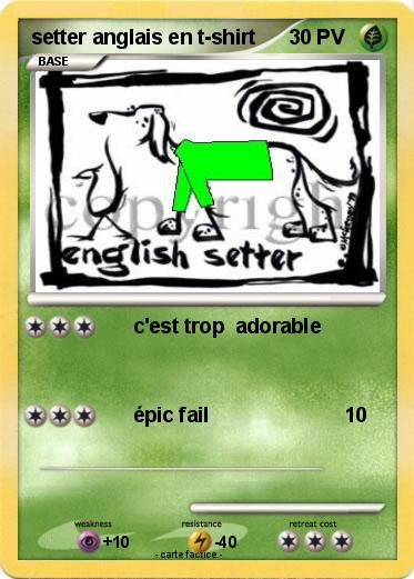 Pokemon setter anglais en t-shirt