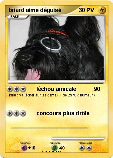 Pokemon briard aime déguisé