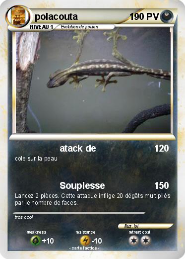 Pokemon polacouta