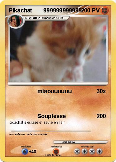 Pokemon Pikachat       999999999999