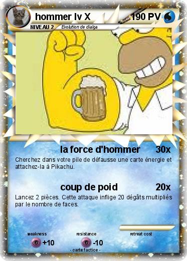 Pokemon hommer lv X